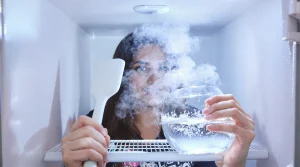 Adieu la glace dans le congélateur : l’astuce simple et redoutable pour un appareil toujours propre, performant et sans givre
