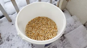 Arrêtez de jeter ce pot en plastique : les oiseaux en raffolent surtout en hiver